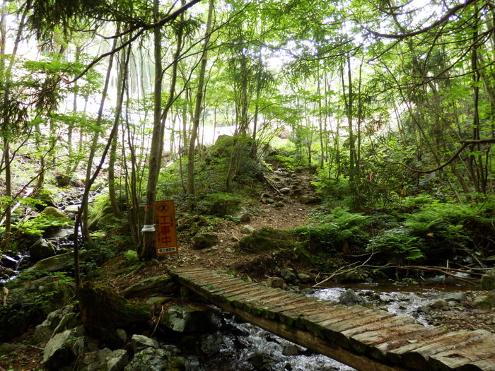 f0219710_8135122.jpg