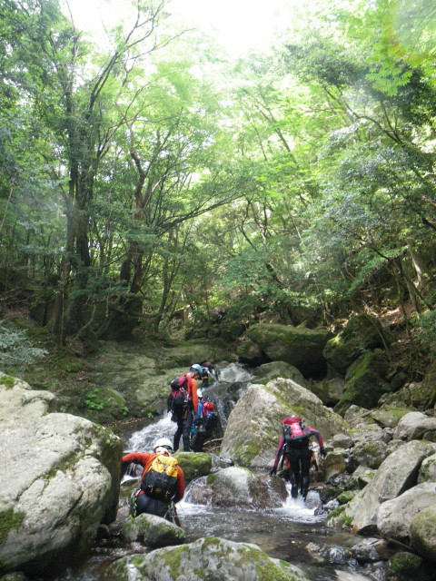 七年谷遡行～桑原山～七年山縦走_d0006512_23451356.jpg