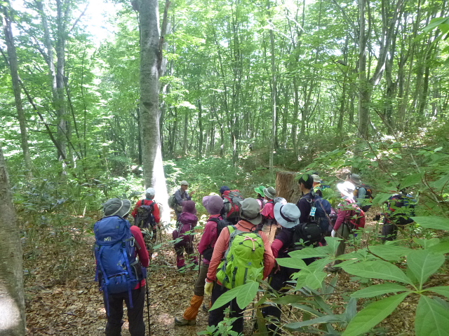 世界遺産　白神山地　トレッキング_d0170615_848715.jpg