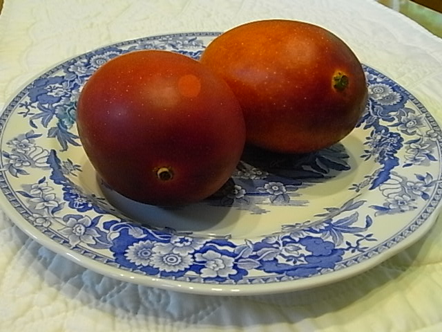 f0341616_70768.jpg