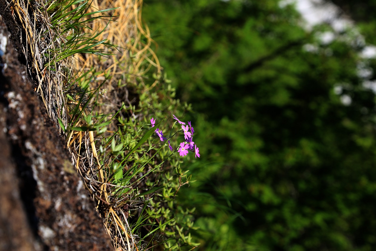 b0062024_1859320.jpg