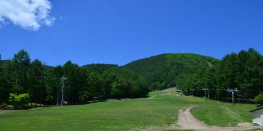 b0310424_15553049.jpg