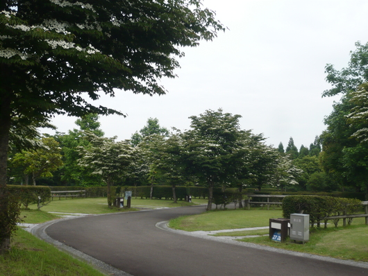 a0206332_8124637.jpg