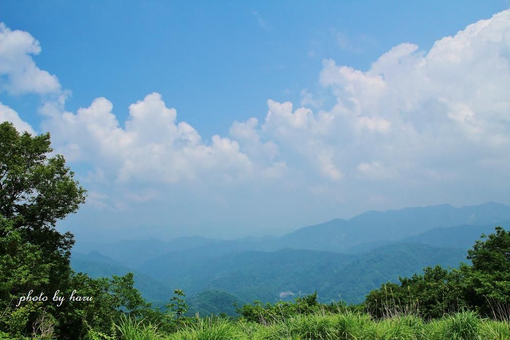 f0297537_19291461.jpg