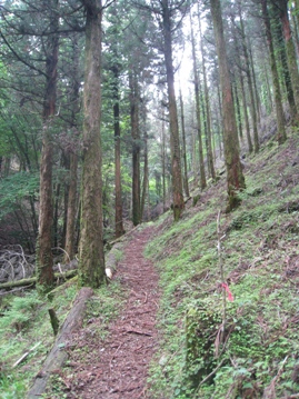 c0077338_63658.jpg