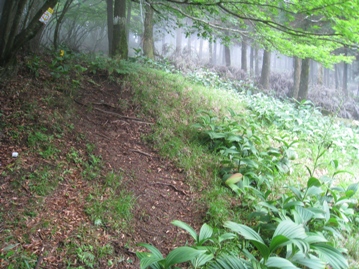 c0077338_63956.jpg