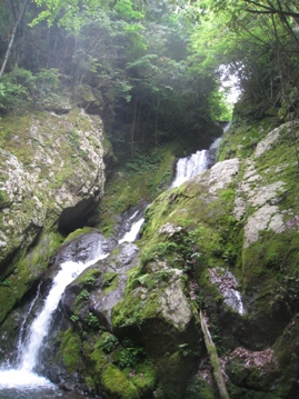 c0077338_65549.jpg