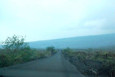 a0187943_15423.jpg
