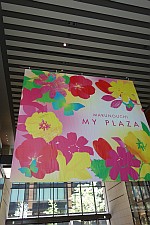 花咲舞が黙ってない「新たな敵は大企業の御曹司」_e0080345_07501560.jpg