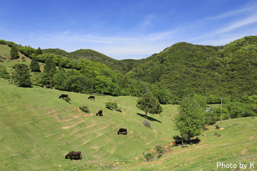 c0127748_2284099.jpg