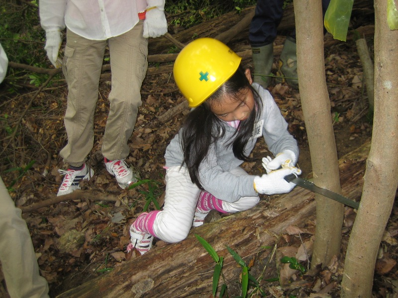 f0342250_00273234.jpg