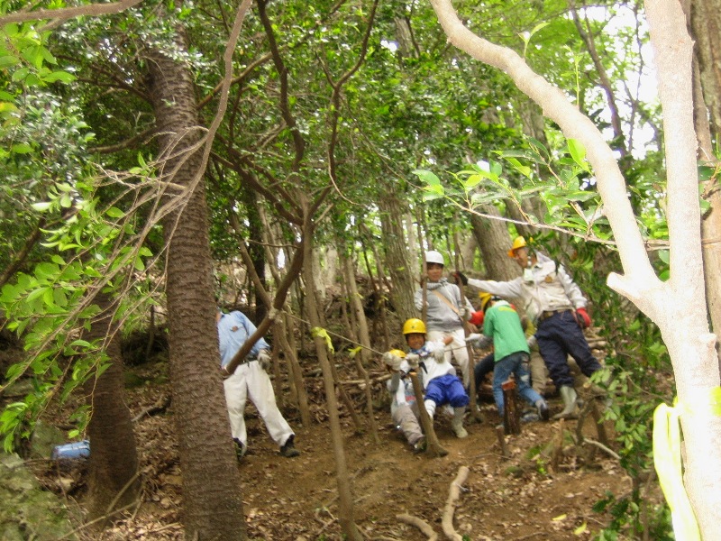 f0342250_00294428.jpg