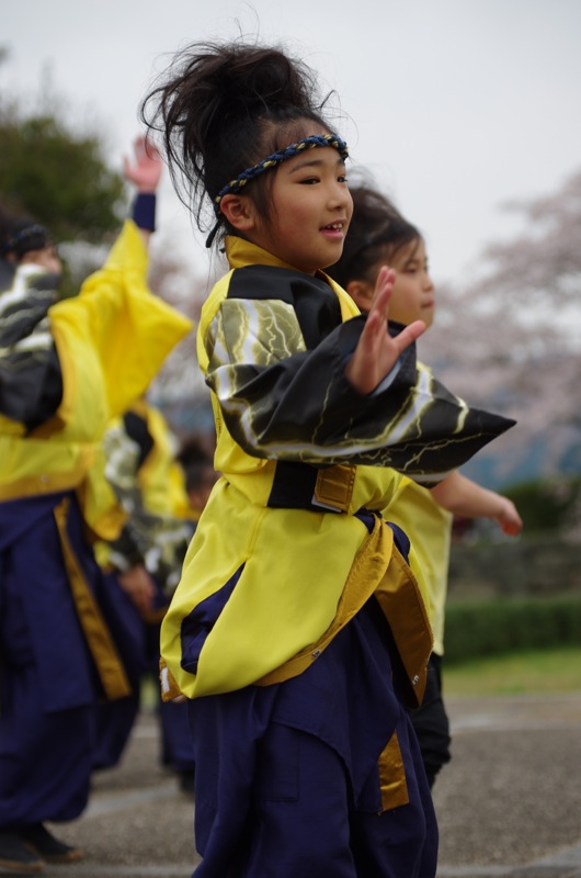 篠山よさこいまつり２０１４その１１（風火雷霆）_a0009554_0152565.jpg