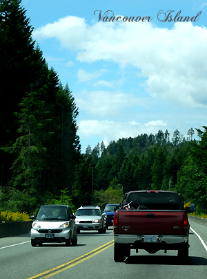 風を感じるカナダ＊Part2　at The Butchart Gardens_f0224855_23455941.jpg