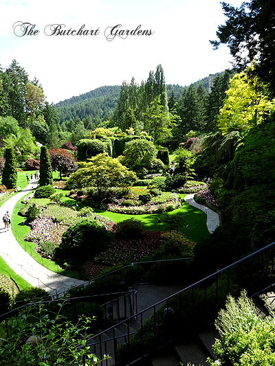 風を感じるカナダ＊Part2　at The Butchart Gardens_f0224855_2350084.jpg