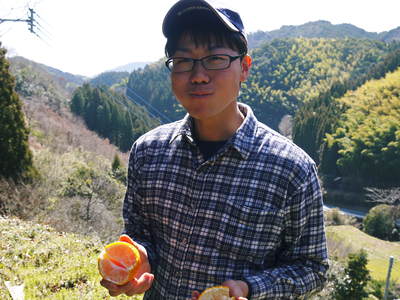 デコポン(肥後ポン) 蔵出し完熟デコポン平成26年度まもなく最終発送!!来年のデコポンも順調です!_a0254656_1854933.jpg