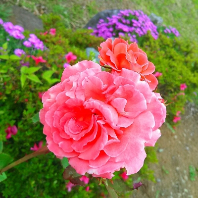 d0246157_10511550.jpg
