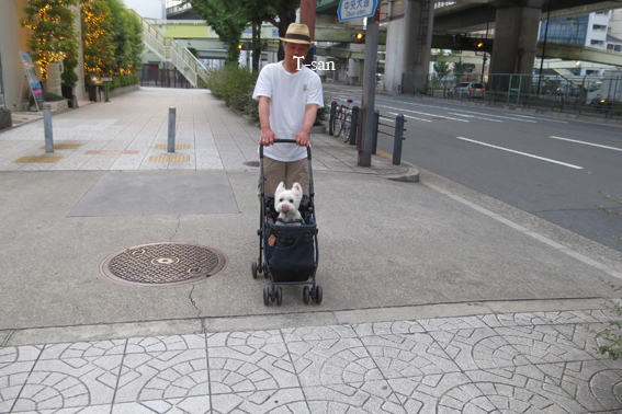 散髪と病院へ。_b0107163_051189.jpg