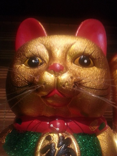金色の猫 ボンジュール 了解にゃり 金色の猫 ボンジュール 了解にゃり