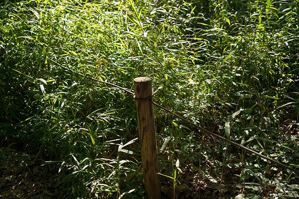 b0171364_9175954.jpg