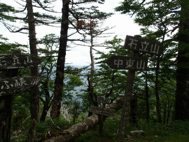 c0219866_832639.jpg