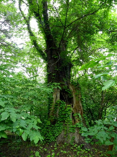 d0084473_2122621.jpg