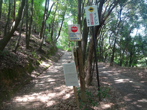 矢田丘陵：寺の紫陽花、歩きやすいトレイル。_c0066176_22301355.jpg