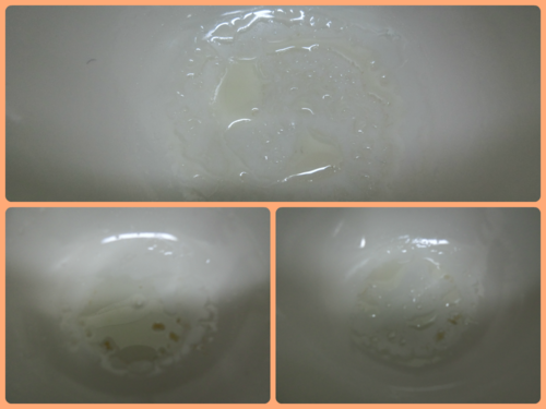 d0073476_9583954.png