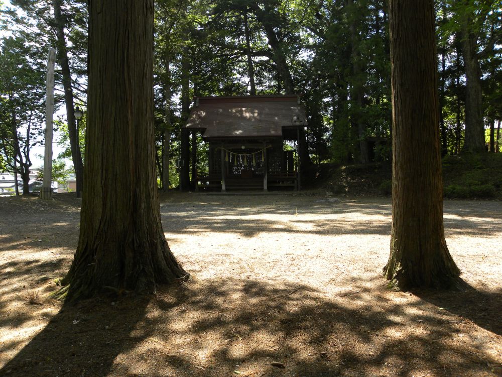 白山神社の大柏_b0329588_17182409.jpg