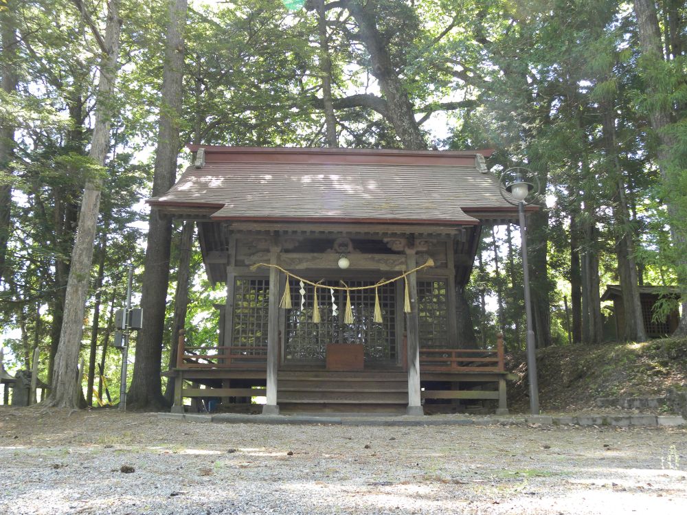 白山神社の大柏_b0329588_17183269.jpg