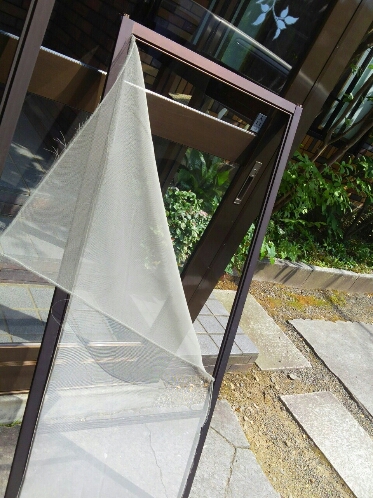 d0182188_1646585.jpg