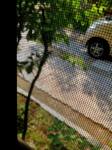 d0182188_16491459.jpg