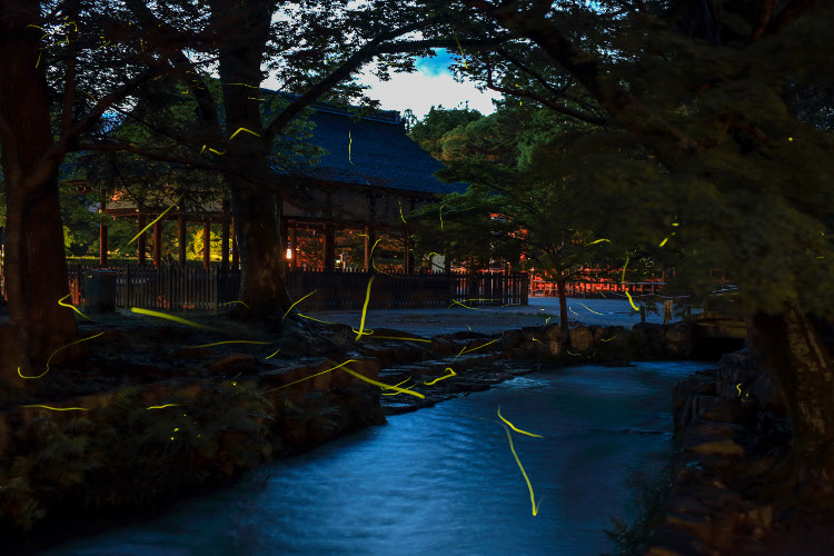 上賀茂神社_e0051888_11287.jpg