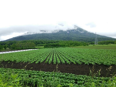 北海道旅行 二日目_d0190794_1857138.jpg