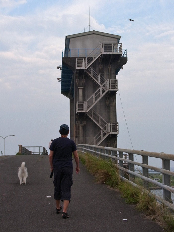 c0049299_22105445.jpg
