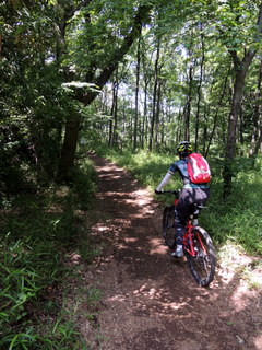 f0326399_21013096.jpg