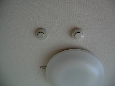 b0003400_8483879.jpg