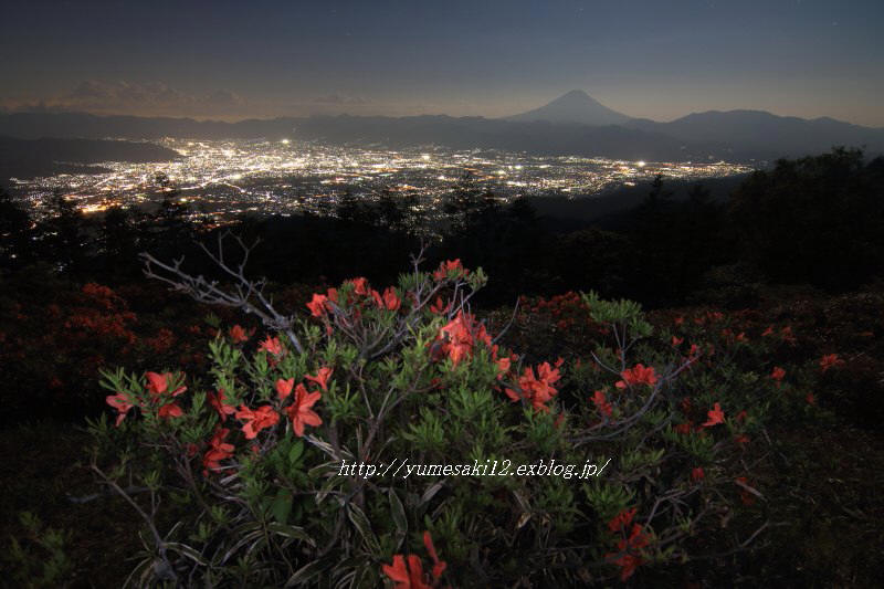 甘利山の夜景とツツジ 6月13日 富士山大好き 写真は最高 甘利山の夜景とツツジ 6月13日 富士山大好き 写真は最高