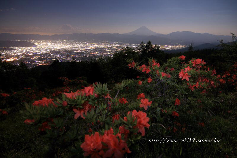 甘利山の夜景とツツジ 6月13日 富士山大好き 写真は最高 甘利山の夜景とツツジ 6月13日 富士山大好き 写真は最高
