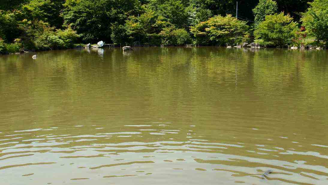 故郷　愛知にも沢山知らない山や川があるのだ・・その2_e0003910_12154952.jpg