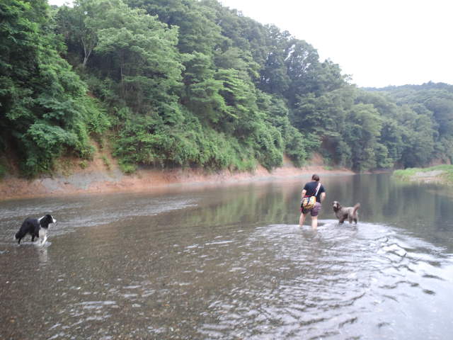 d0224111_20593902.jpg