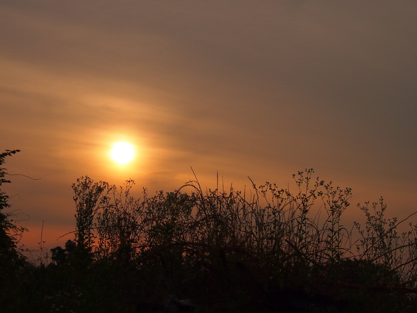 d0048812_8584967.jpg