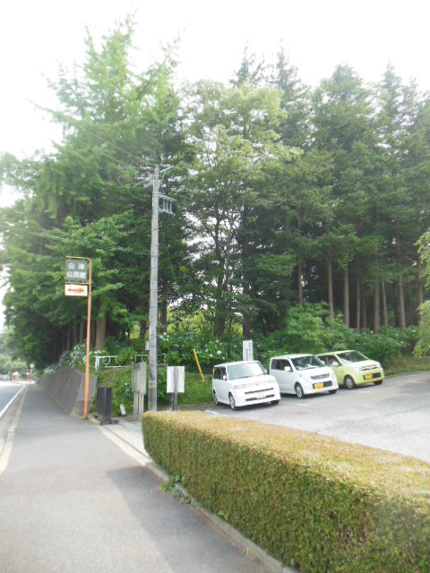 f0208812_22536.jpg