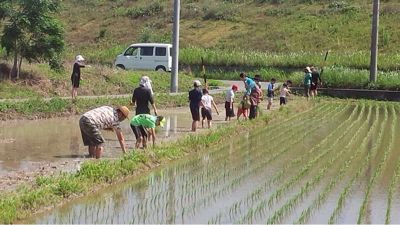 田植え_f0233412_1485883.jpg