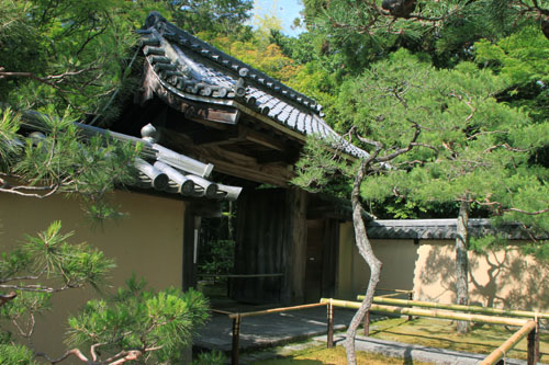 大徳寺を歩く 高桐院_e0048413_2033021.jpg
