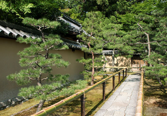 大徳寺を歩く 高桐院_e0048413_203660.jpg