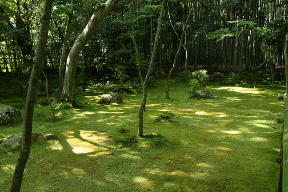 大徳寺を歩く 高桐院_e0048413_204376.jpg