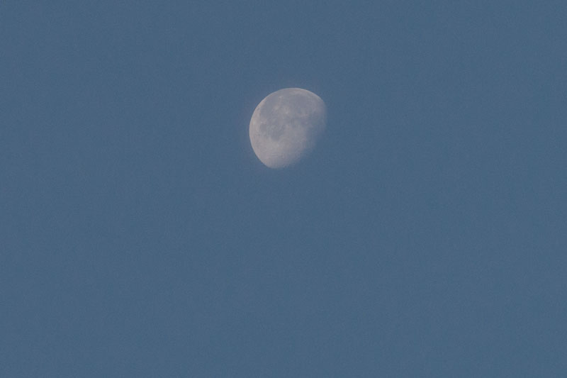 a0278914_11569.jpg