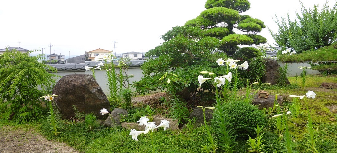 f0228619_743143.jpg