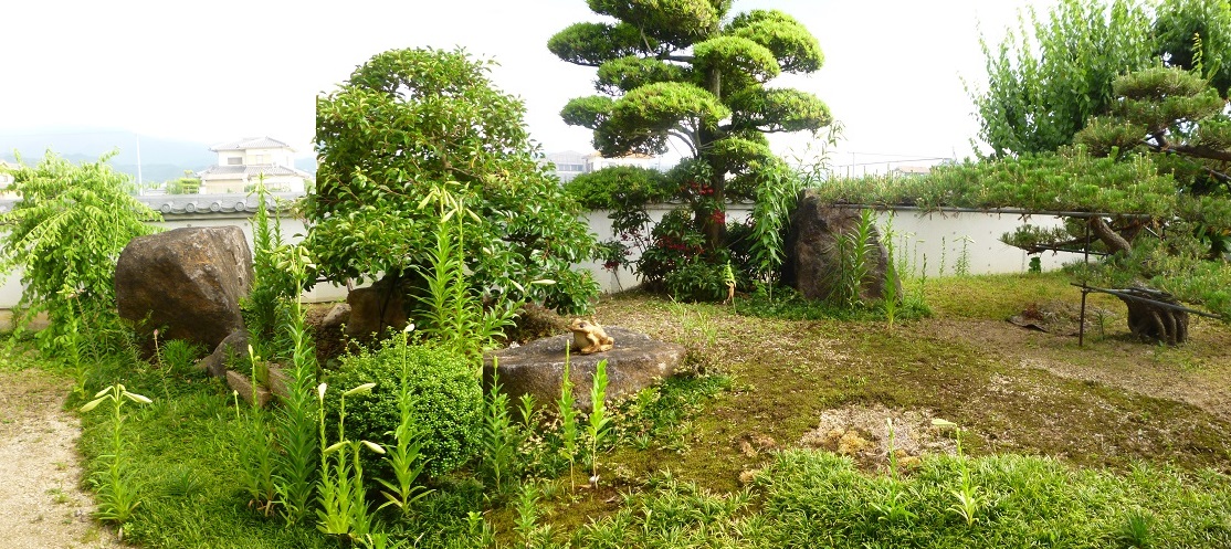 f0228619_745525.jpg